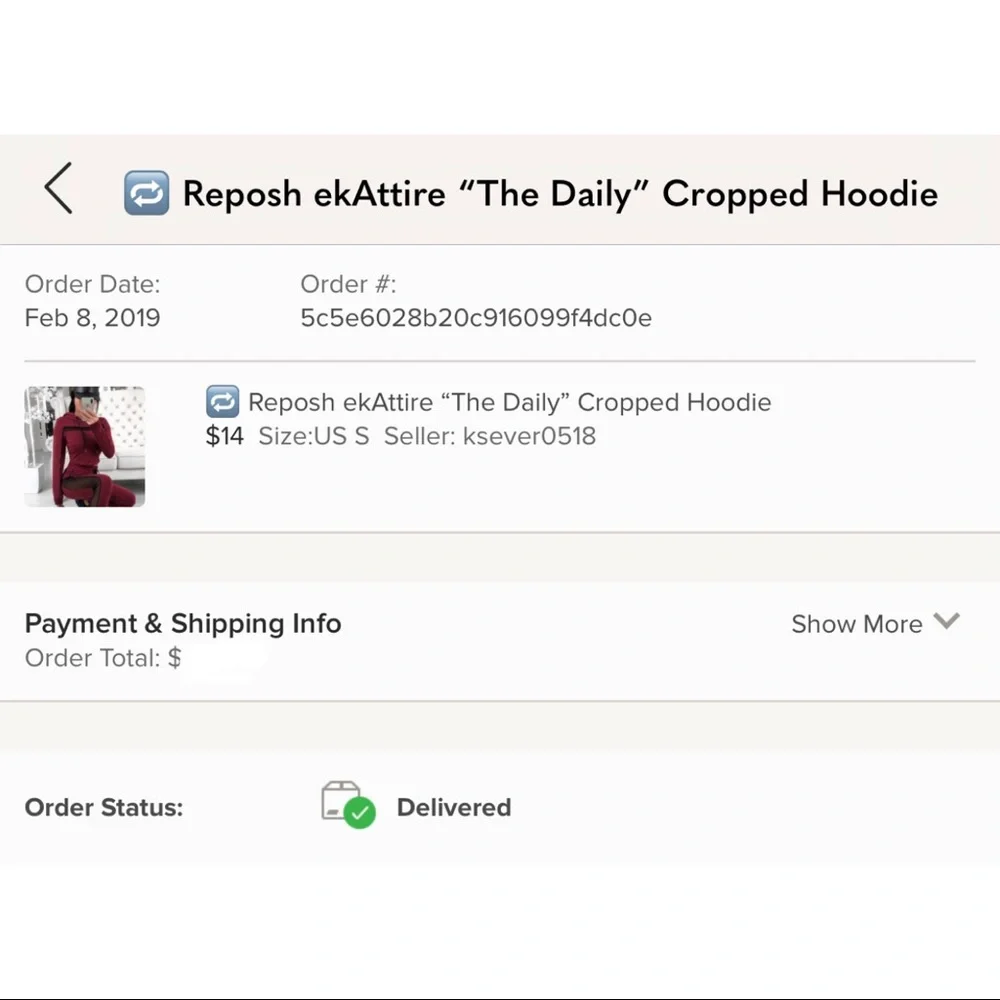 ekAttire | The Daily Burgundy Cropped Hoodie - Picture 9 of 9